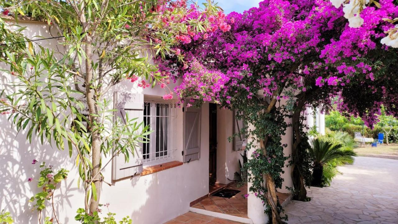 Villa Provencale A Sainte Maxime, Golf De Saint Tropez Kültér fotó