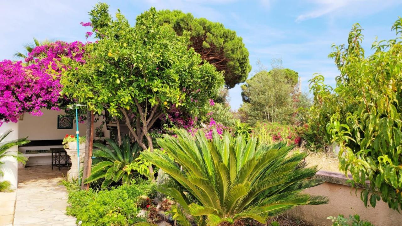 Villa Provencale A Sainte Maxime, Golf De Saint Tropez Kültér fotó