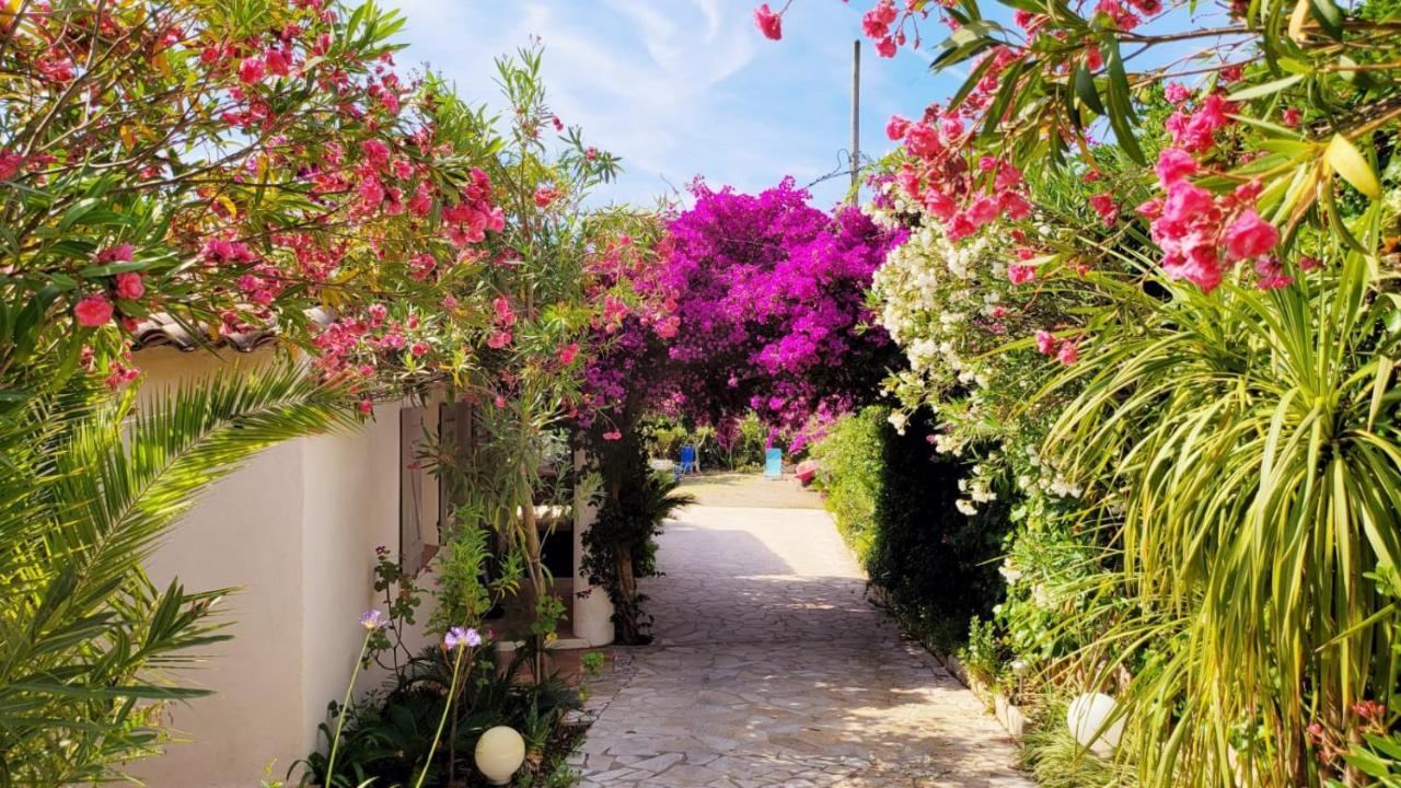 Villa Provencale A Sainte Maxime, Golf De Saint Tropez Kültér fotó