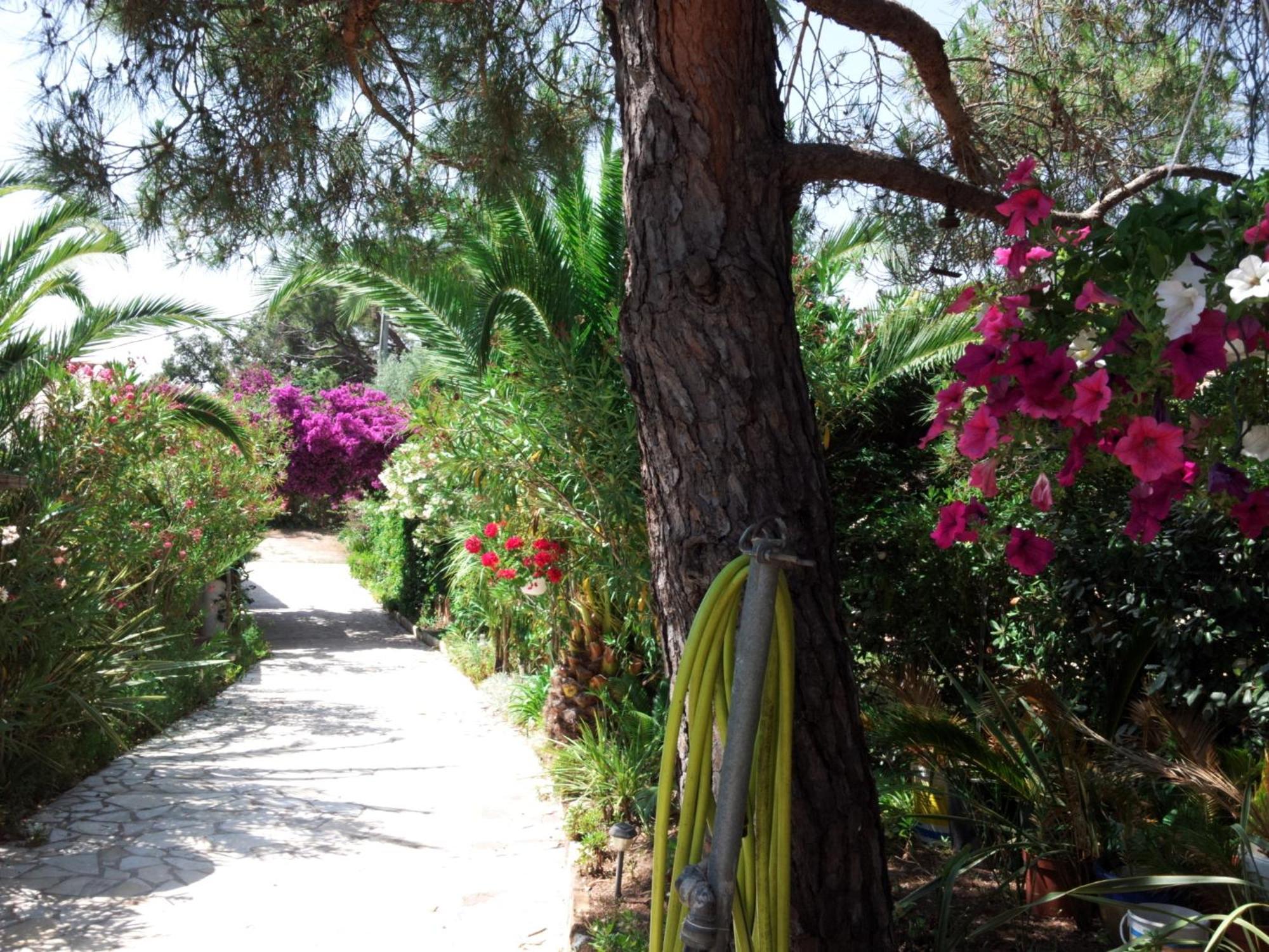 Villa Provencale A Sainte Maxime, Golf De Saint Tropez Kültér fotó