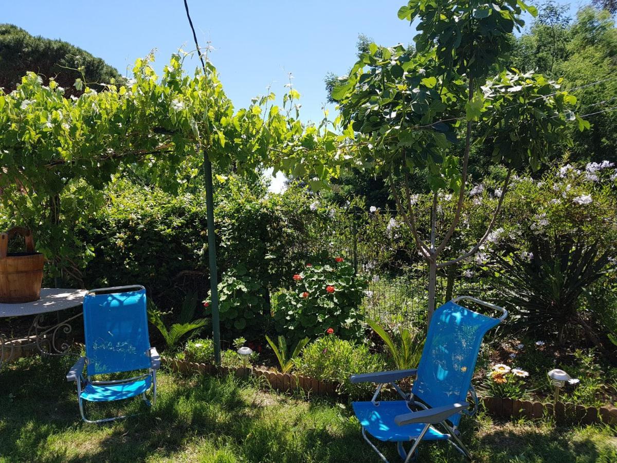 Villa Provencale A Sainte Maxime, Golf De Saint Tropez Kültér fotó
